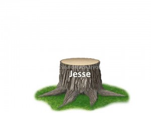 stump of Jesse