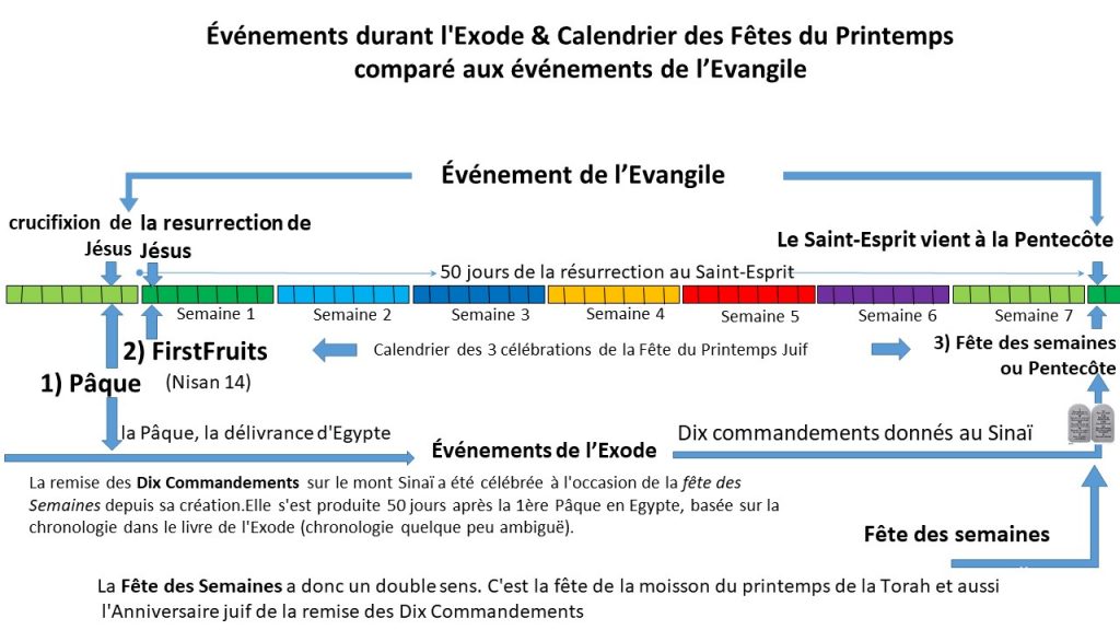 Les Dix Commandements ont une relation avec la Fête des Semaines et la venue de l'Esprit Saint à la Pentecôte. La Fête des Semaines, les Dix Commandements et la Venue de l'Esprit sont des événements qui se déroulent tous le même jour civil